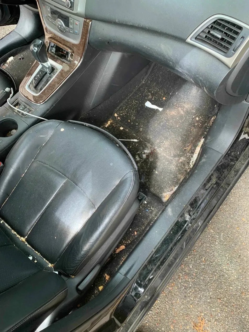 Before: dirty interior